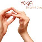 Surabhi Mudra