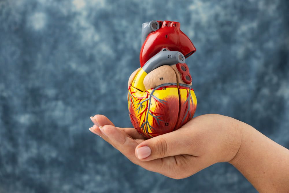 heart