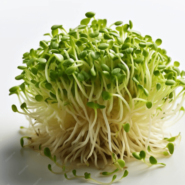 Broccoli Sprouts