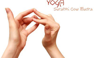 Surabhi Mudra