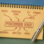 How exercise influences mitochondrial health