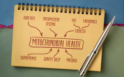 How exercise influences mitochondrial health