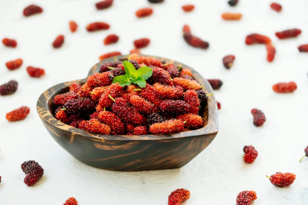 Juicing Mulberries